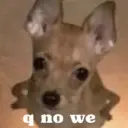 q no we