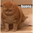 bueno