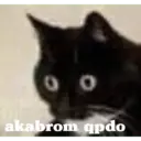 00 akabrom qpdo