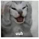 uuh