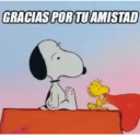 DIA DEL AMOR Y AMISTAD ♥️ 5