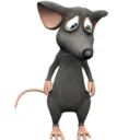 Rata triste Hámster Meme 🐹 14
