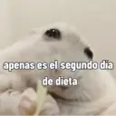 apenas es el segundo dia de dieta