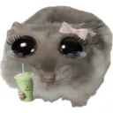 Rata triste Hámster Meme 🐹 12
