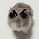 Rata triste Hámster Meme 🐹 19