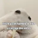 triste y con hambre la vida si castiga dos veces