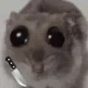 Rata triste Hámster Meme 🐹 13