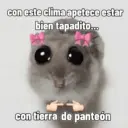 con este clima apetece estar bien tapadito... con tierra de panteón
