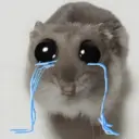 Rata triste Hámster Meme 🐹 28