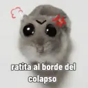 ratita al borde del colapso