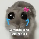 yo viendo como arruiné todo