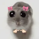 Rata triste Hámster Meme 🐹 16