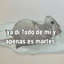 ya di Todo de mi y apenas es martes