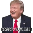 Trump 11