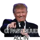 Trump 29