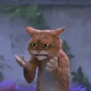 Gato de botas 5