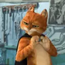 Gato de botas 19