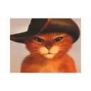 Gato de botas 21