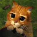 Gato de botas 17
