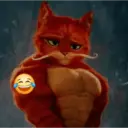 Gato de botas 15