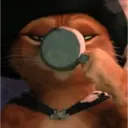Gato de botas 6