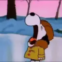 Snoopy 28