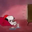 Snoopy 24