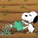 Snoopy 15