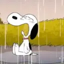 Snoopy 23