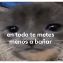 Michi frases 7