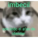 Michi frases 5