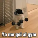Ya me goi al gym