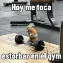 Hoy me toca estorbar en el gym