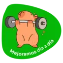 Capibaras de la Huella 6