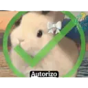 Autorizo COME Conmerape
