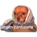 Birgen zantisima