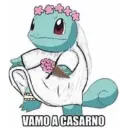 VAMO A CASARNO