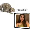 villar, el gato 30