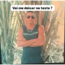 villar, el gato 28