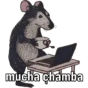 Animales miados 12