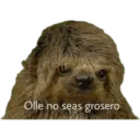 Animales miados 8