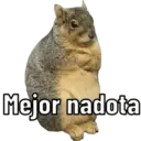 Animales miados 6