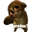 Animales miados 10