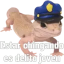 Animales miados 27