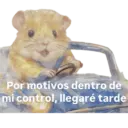 Animales miados 26