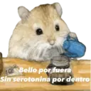 Animales miados 14
