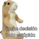 Animales miados 5