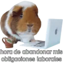 Animales miados 21