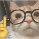 animales random 3 28