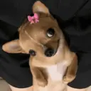 animales random 3 18